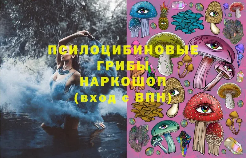 Псилоцибиновые грибы MAGIC MUSHROOMS  МЕГА как зайти  Знаменск  наркошоп 